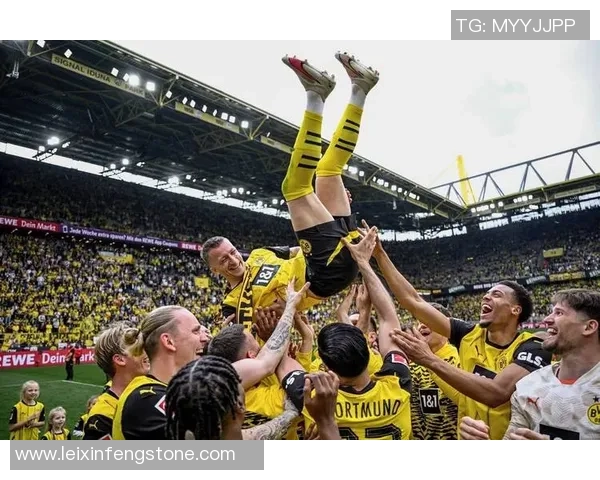 欧冠激战：多特蒙德与热刺鏖战成平局精彩瞬间回顾